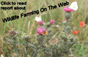 Report about Farmland Flowers.......
