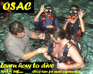 Dive with us!