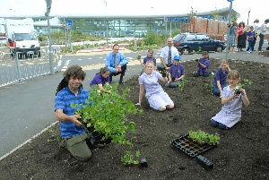 Children from Garston CE Primary School join Merseytravel’s Alan Stillwell (back left) and Cllr Denis Knowles (back right) and Richard Scott from Landlife (front) to plant to 200 wildflowers.