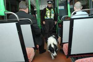 A passive drugs dog in action.