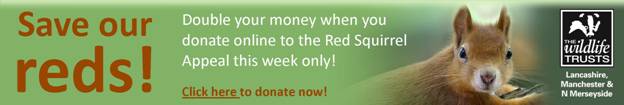 Help the Red Squirrel Survival Trust today...!