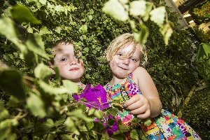 15 Hiding out in the forest, Maizey Hoyle, 4 and her brother Eliott, 6