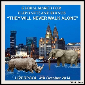 Liverpool poster for Global March for Elephants and Rhinos