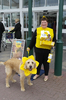 Photo: Jackie Pinkney collecting with Jimmy her Labradoodle for the Marie Curie Great Daffodil Appeal at Southport in Morrisons.