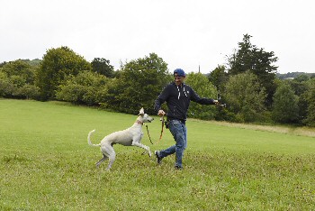 Singer Peter Andre urges animal lovers to support RSPCAs Big Walkies