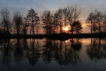 This photo is of a stunning woodland sunset at Burton Mere Wetlands taken by the photographer Lynne Greesnstreet.