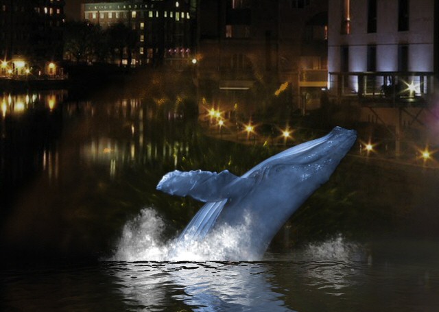 A humpback whale will make an appearance at the Royal Albert Dock Liverpool...